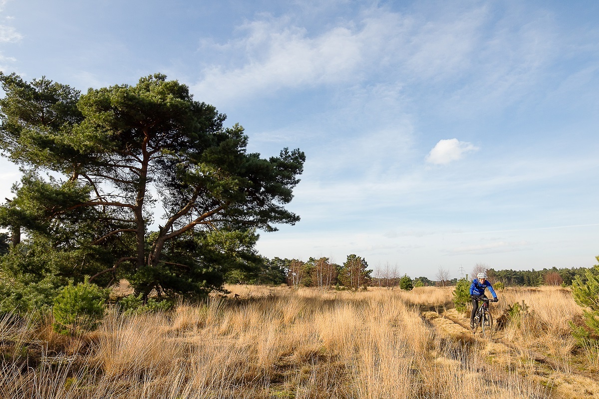 10x tochten fietsen tussen kerst en oud en nieuw