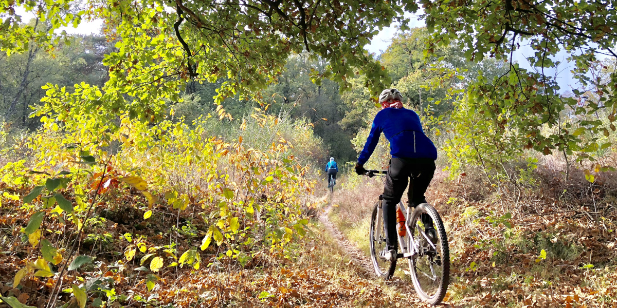 10x mooie mountainbiketochten voor dit najaar