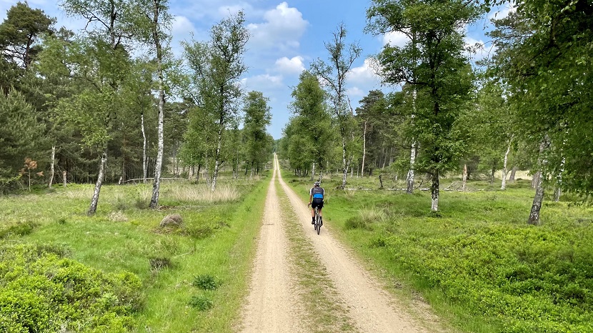 Ga op jacht naar gravelstroken in het Kroondomein