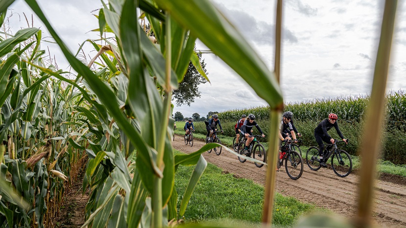 Sfeerverslag van Where The Streets Have No Name - Groesbeek