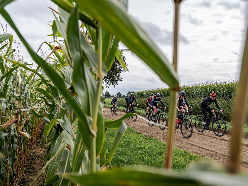 Sfeerverslag van Where The Streets Have No Name - Groesbeek