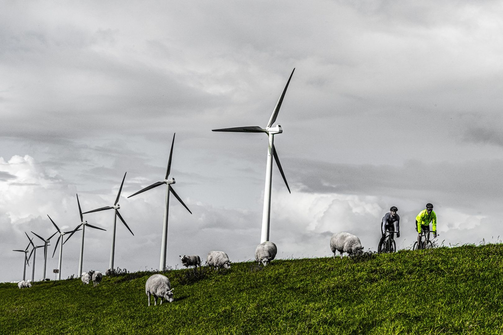 Waarom de wind altijd wint