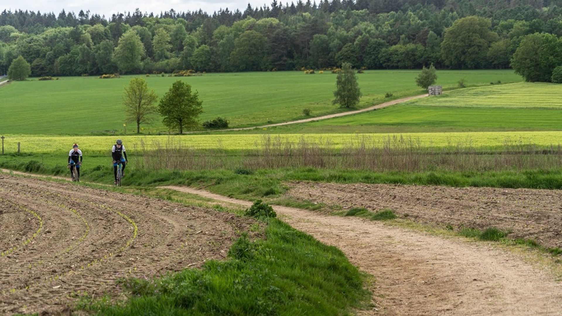 Seven Summits: meerdaagse graveltocht over zeven Nederlandse toppen