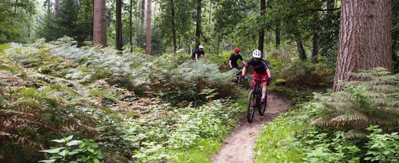 Vignet 2017 verkrijgbaar