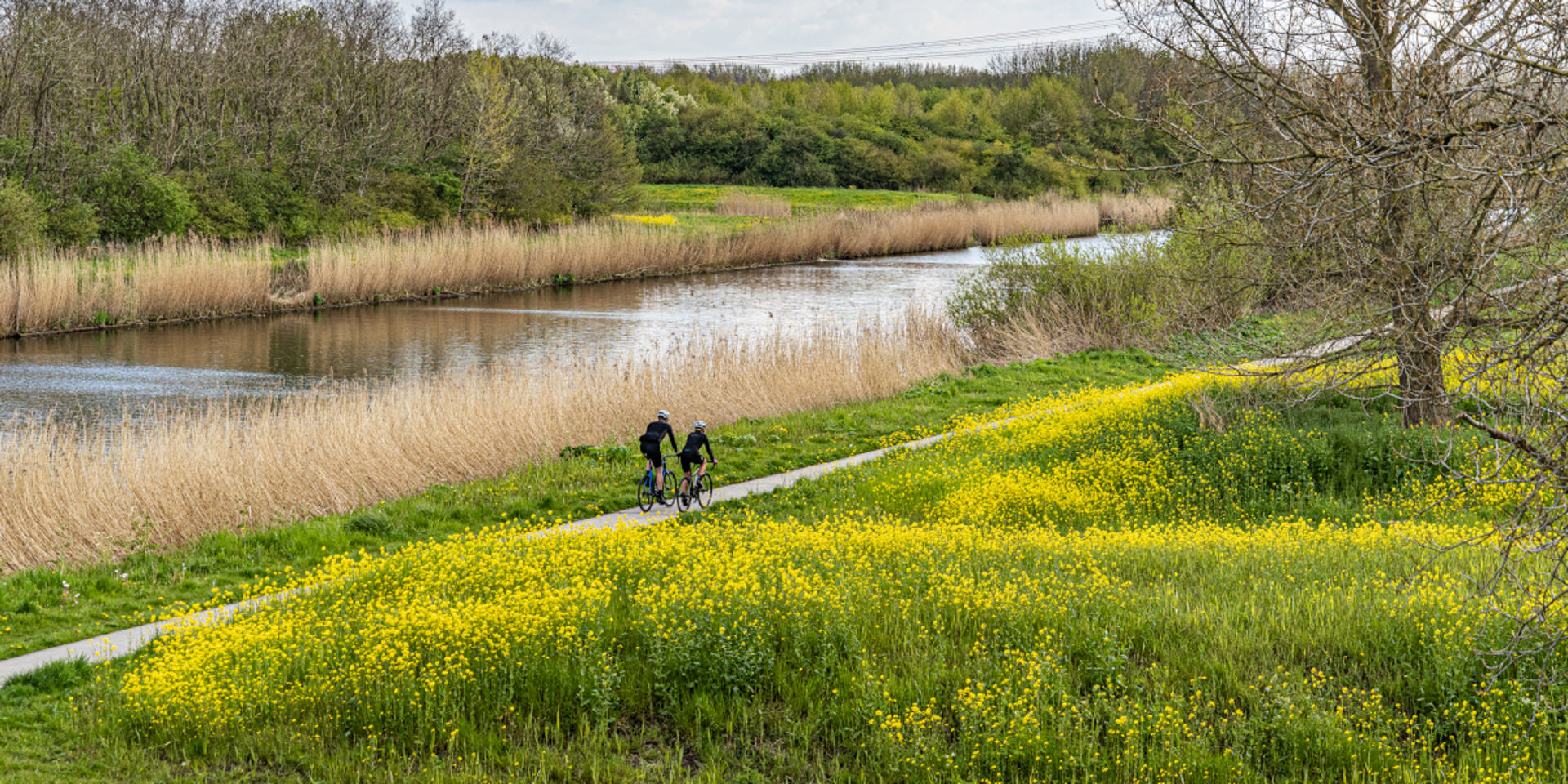 10x machtig mooie wielerroutes in Flevoland