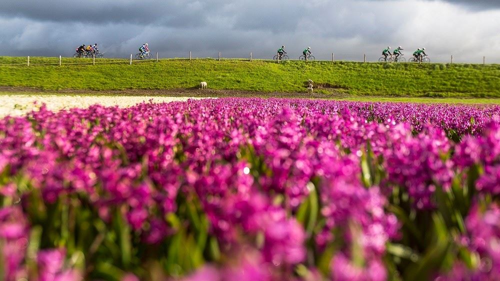 Duin- en Bollentocht