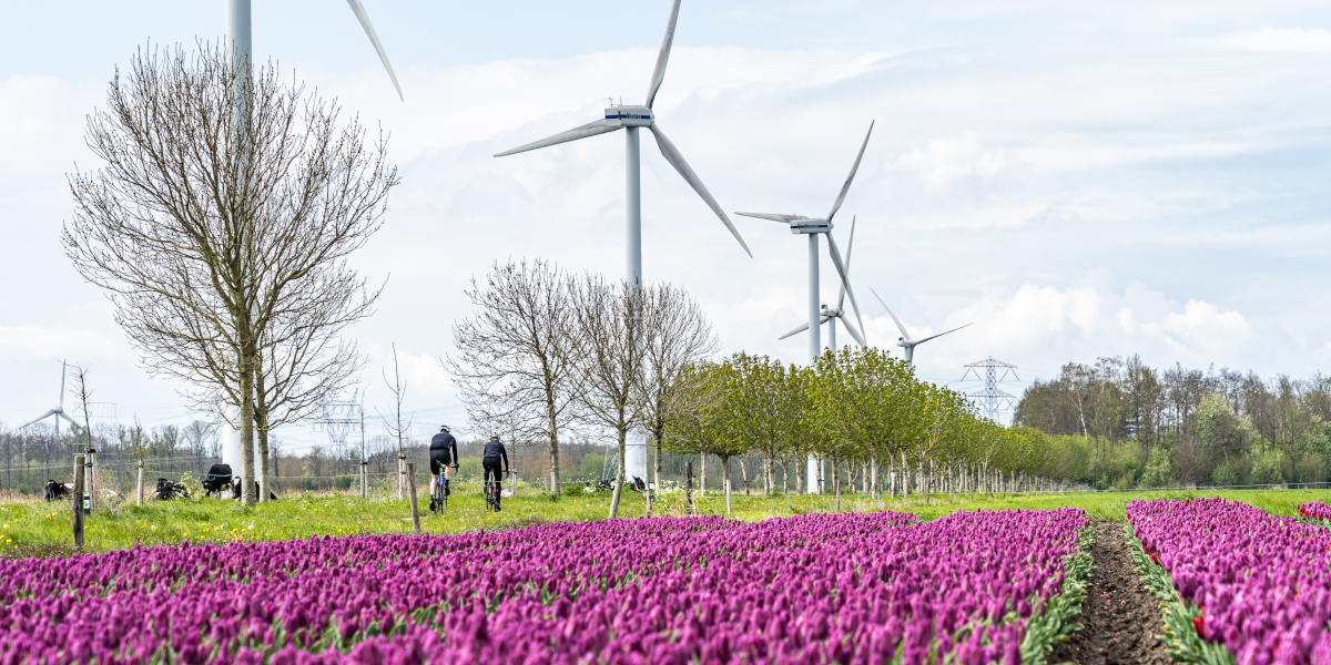 10x machtig mooie wielerroutes in Flevoland