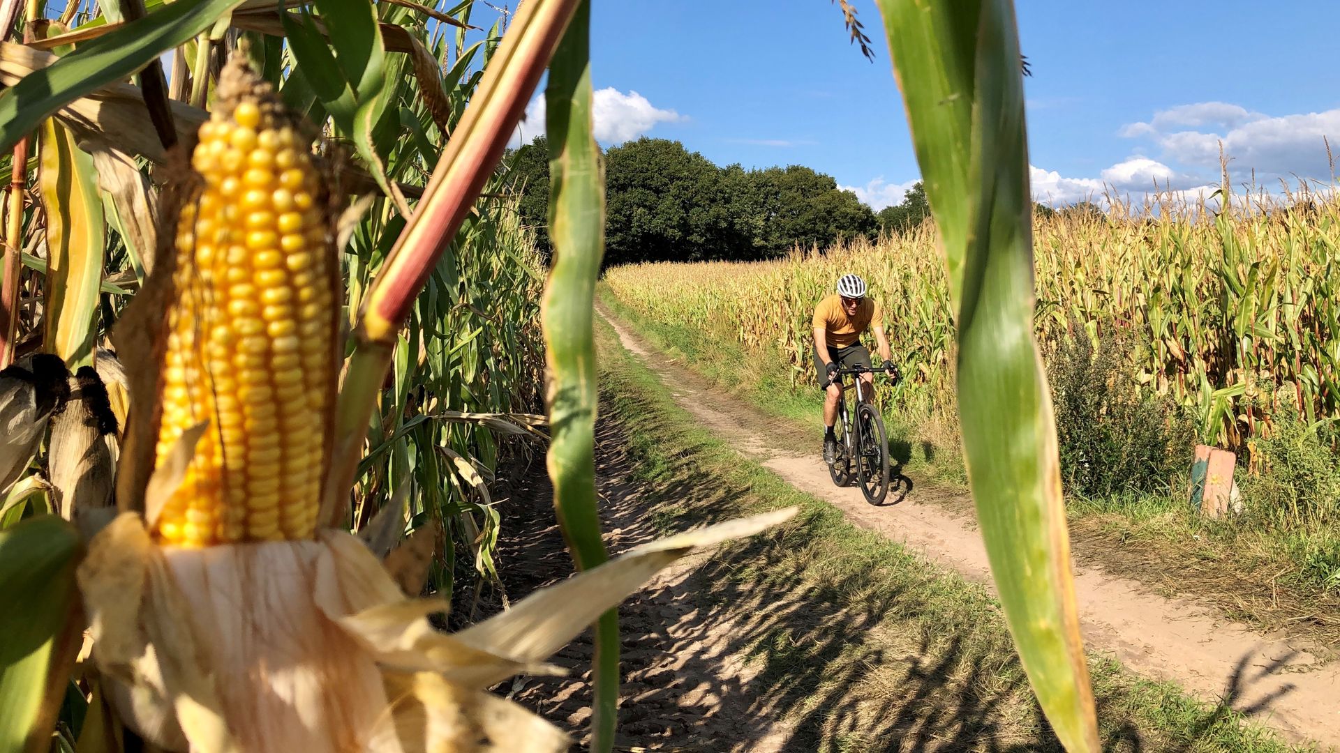 Test: Pilot Scram GRX