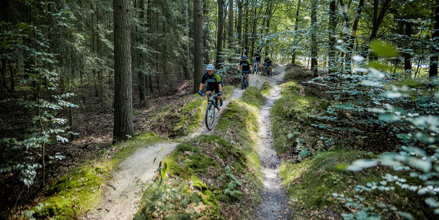 5x Prachtige MTB-routes in Drenthe