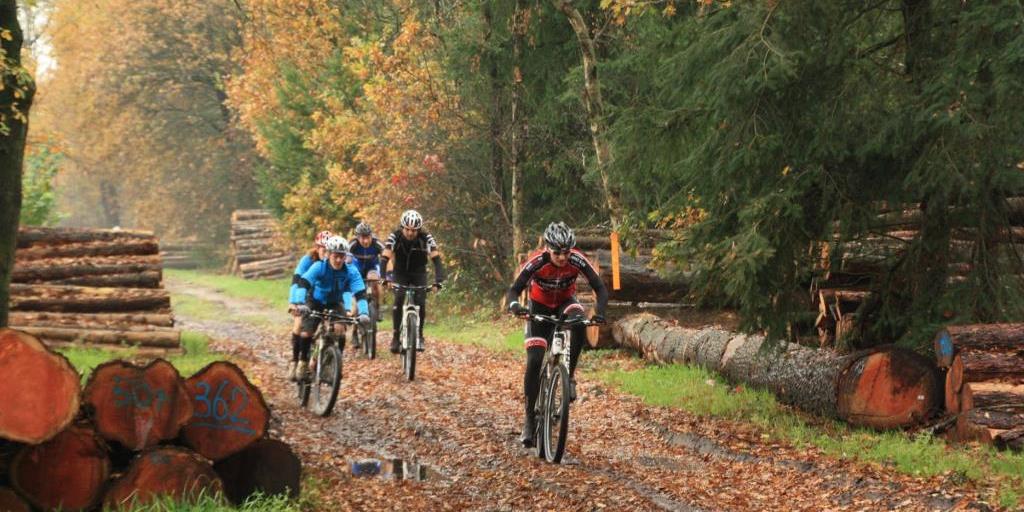 6x MTB-toertochten in de zomer