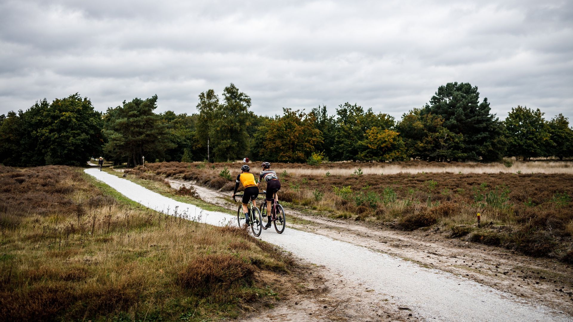 Fijne gravelpaden op de Utrechtse heuvelrug