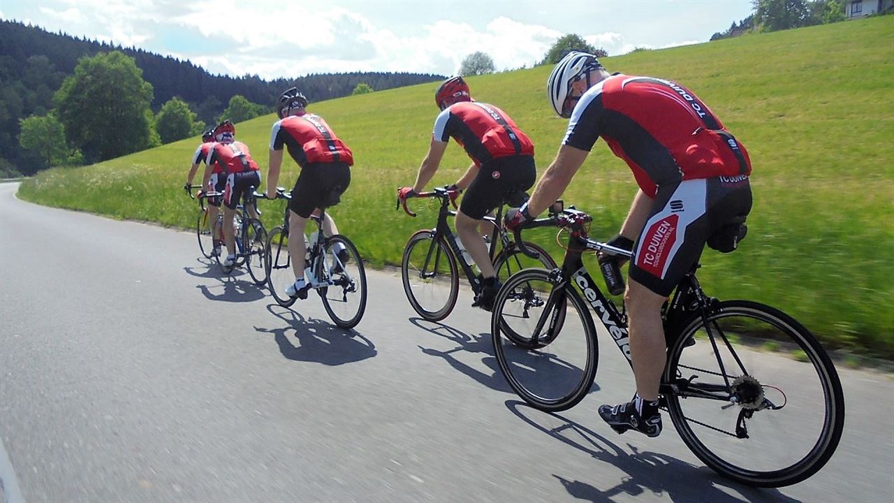 Dierendag: 7x clubs met een dier in de naam