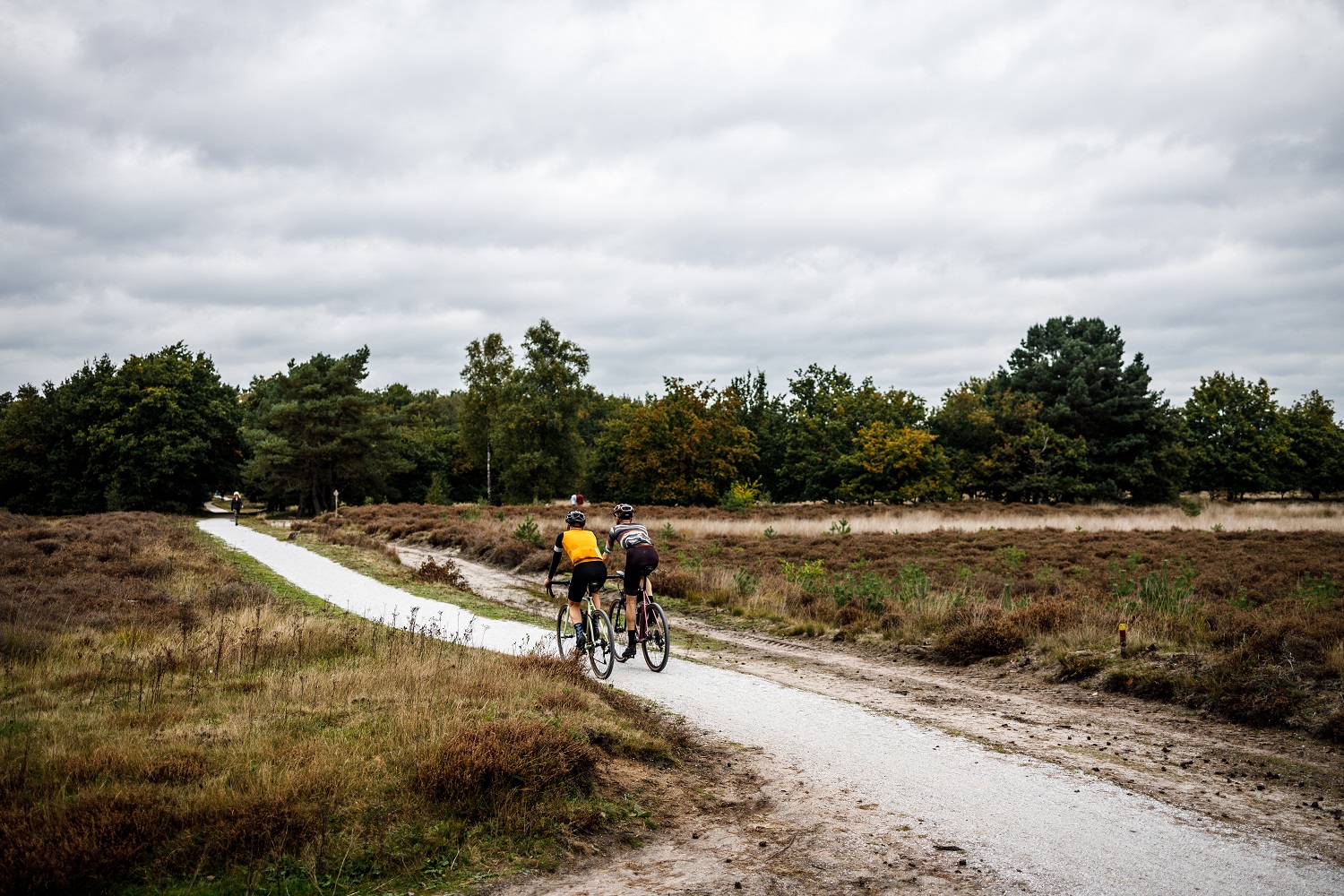 Fijne gravelpaden op de Utrechtse heuvelrug