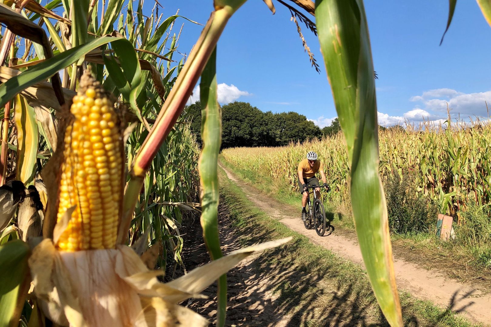 Test: Pilot Scram GRX