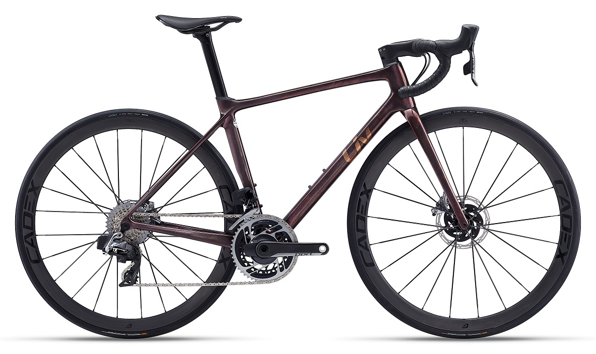 Test: Liv Langma Advanced SL