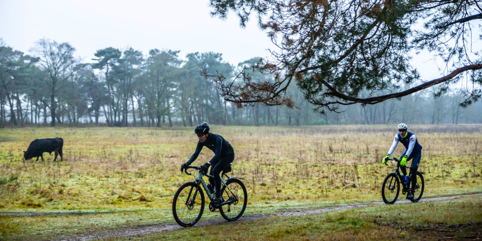Dit zijn de 10x mooiste graveltochten van 2026