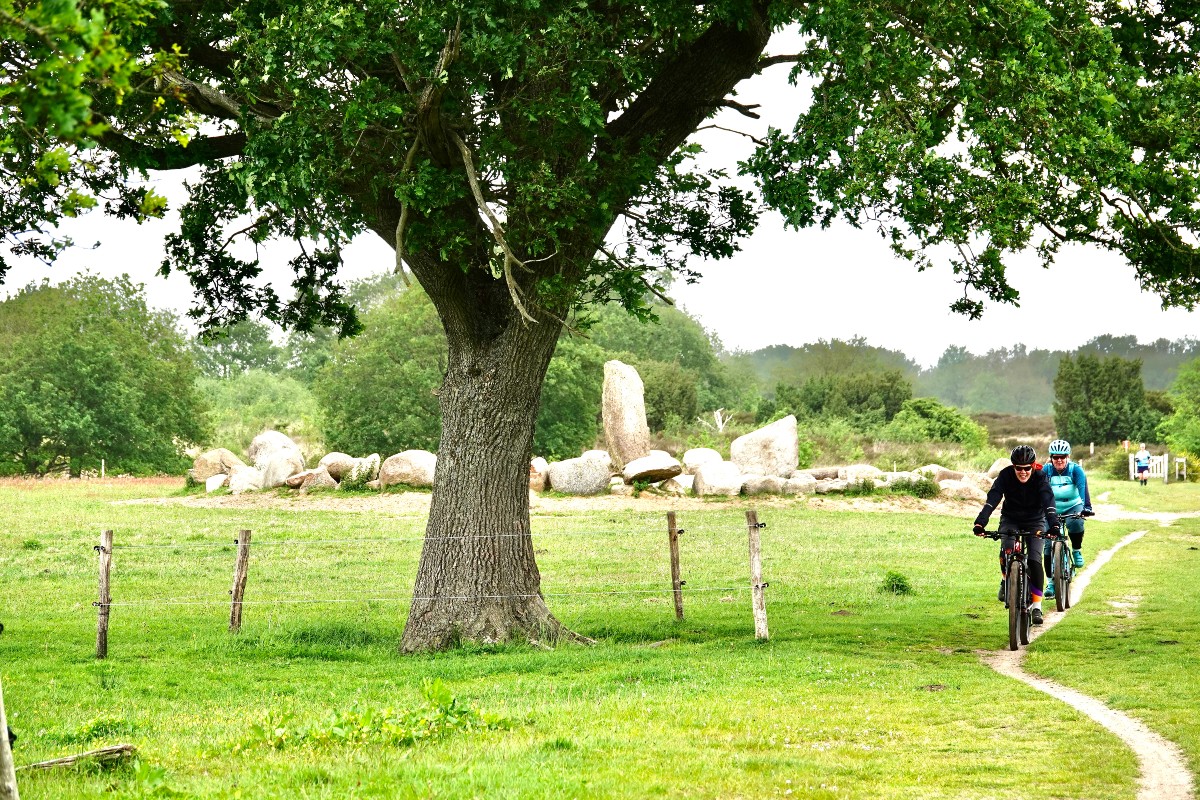 Meer ruimte en routes voor mountainbikers, gravelbikers en wielrenners