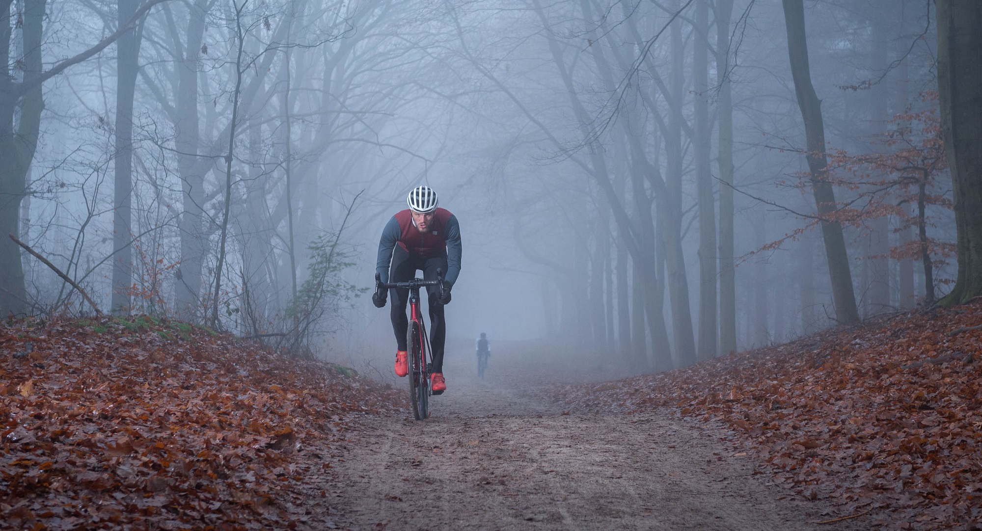 Test: Trek Domane SL5 2020