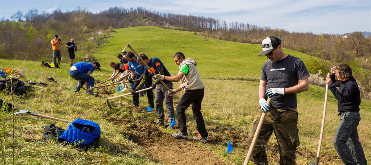 DMT Awards: de winnaars