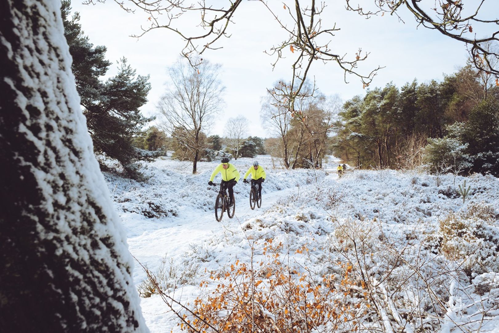 Dossier: Winterkleding