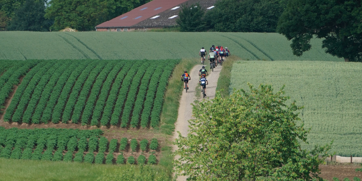 Deze 10 mountainbike tochten wil je in 2025 écht niet missen