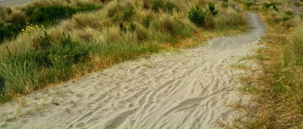 Trail Update 02/2018