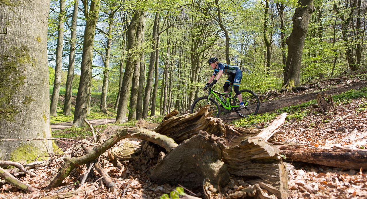 MTB Tijdrit: Techniek en snelheid