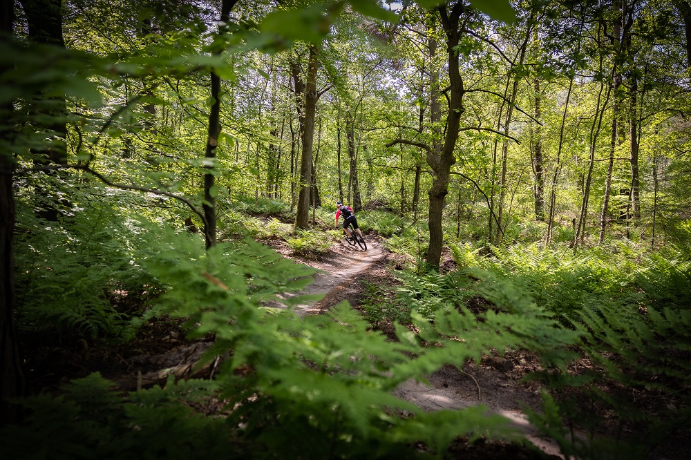 Dit zijn de 5x favoriete MTB-routes van 2023 van mountainbikefanaat André Deunhouwer