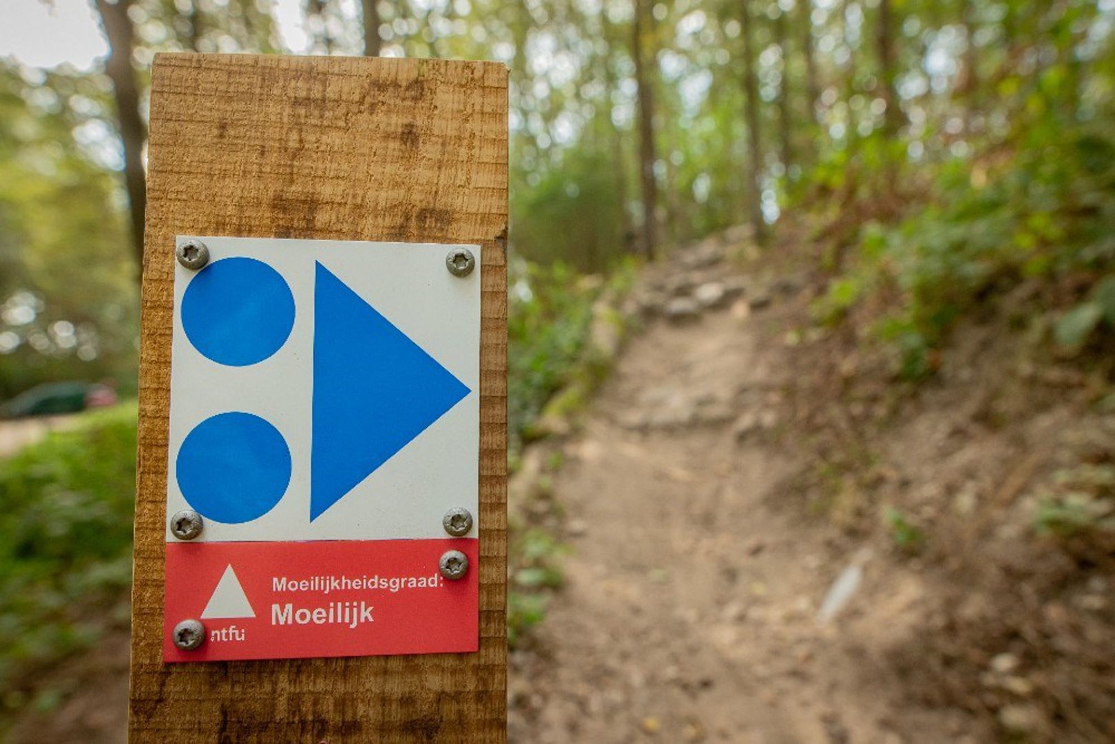 Mountainbiken steeds populairder: voorkom blessures met training en kleurcodes
