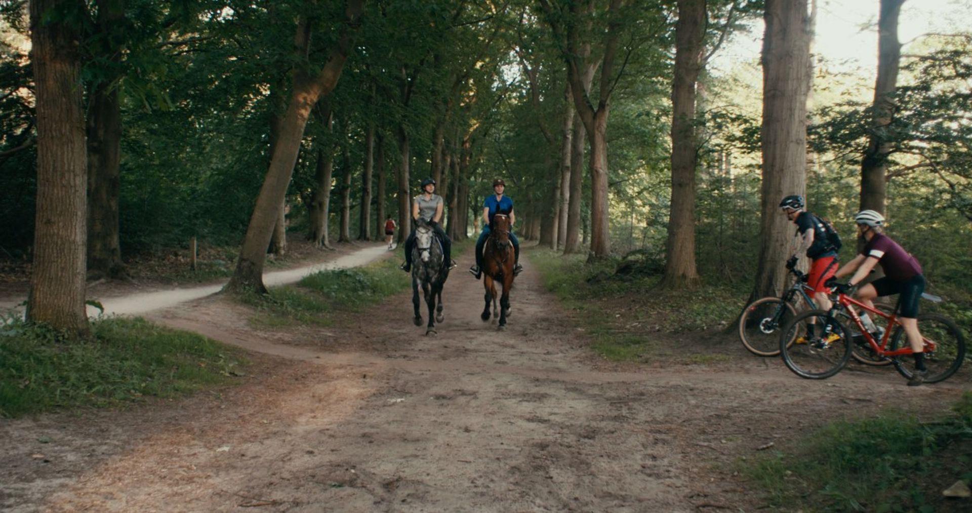 Hoe kijkt Nederland naar mountainbiken: de resultaten van het imago-onderzoek