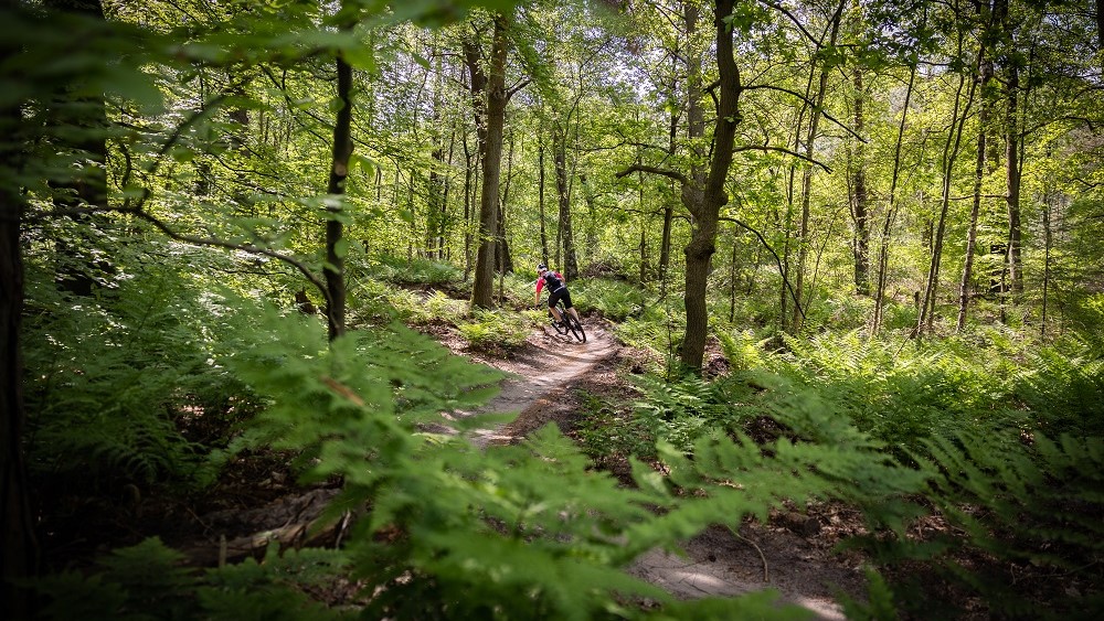 Dit zijn de 5x favoriete MTB-routes van 2023 van mountainbikefanaat André Deunhouwer