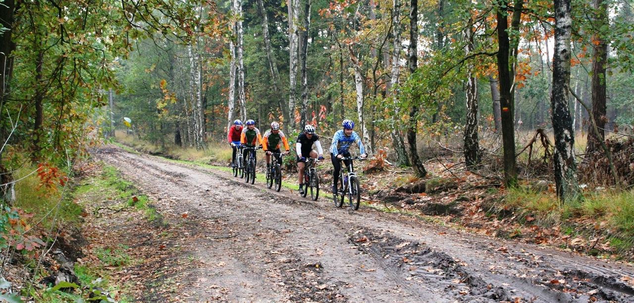 Stratumse Heidetocht