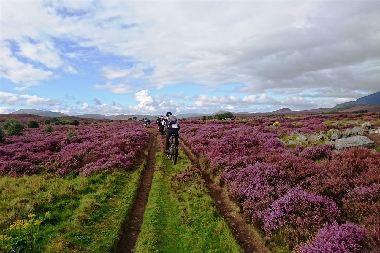 Weg van de bewoonde wereld. De bergen worden hoger, de heide paarser.