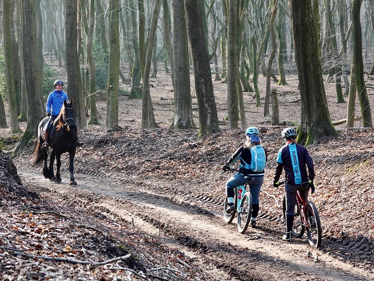 Hoe passeer je paard en ruiter?
