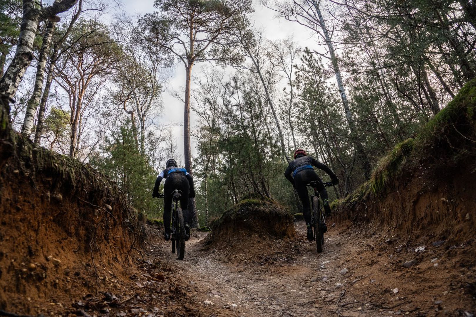 NTFU Bosch eBike Systems Trailfund geeft mountainbiken nieuwe bite