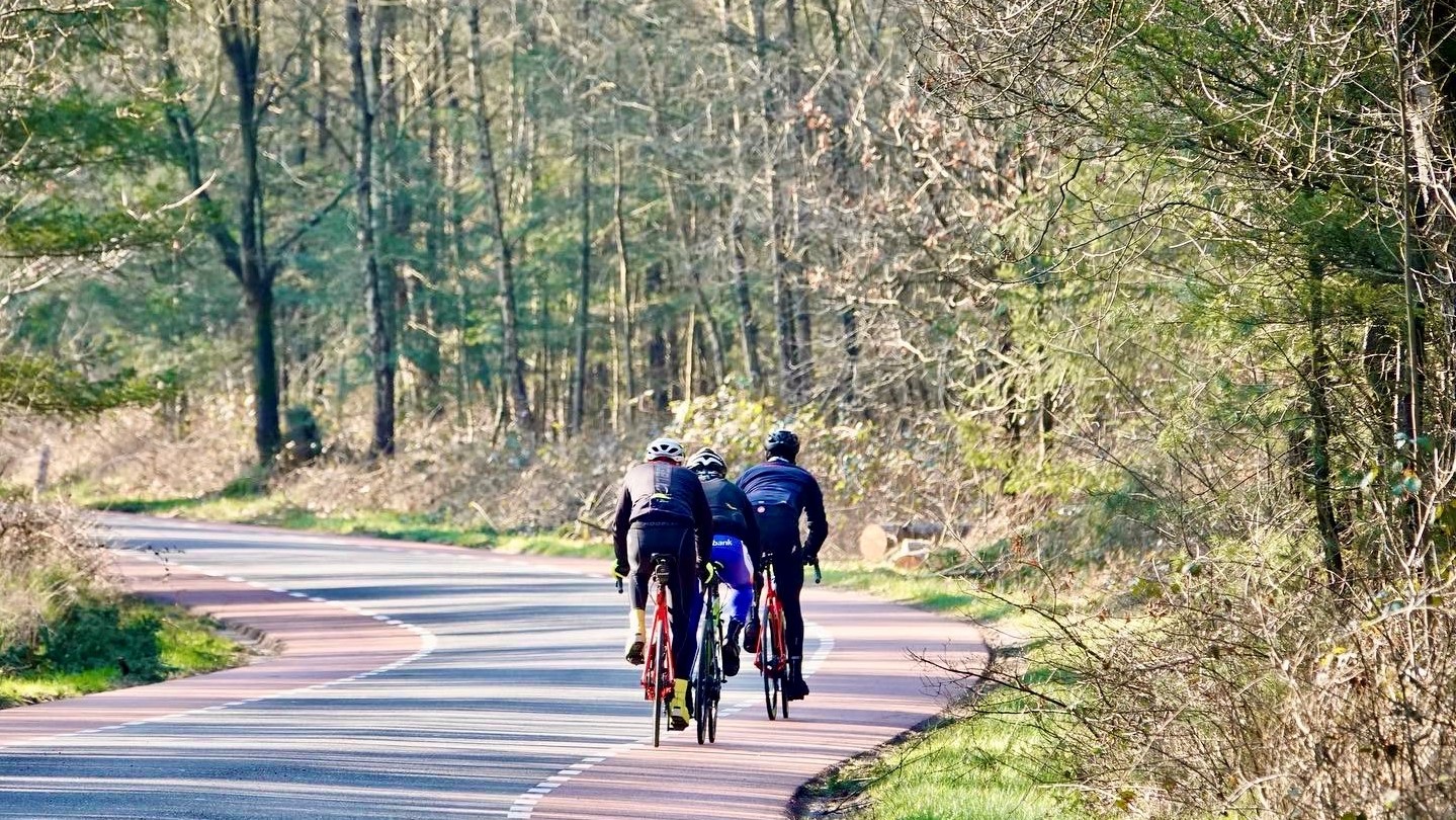 Heuvelen op de Utrechtse Heuvelrug