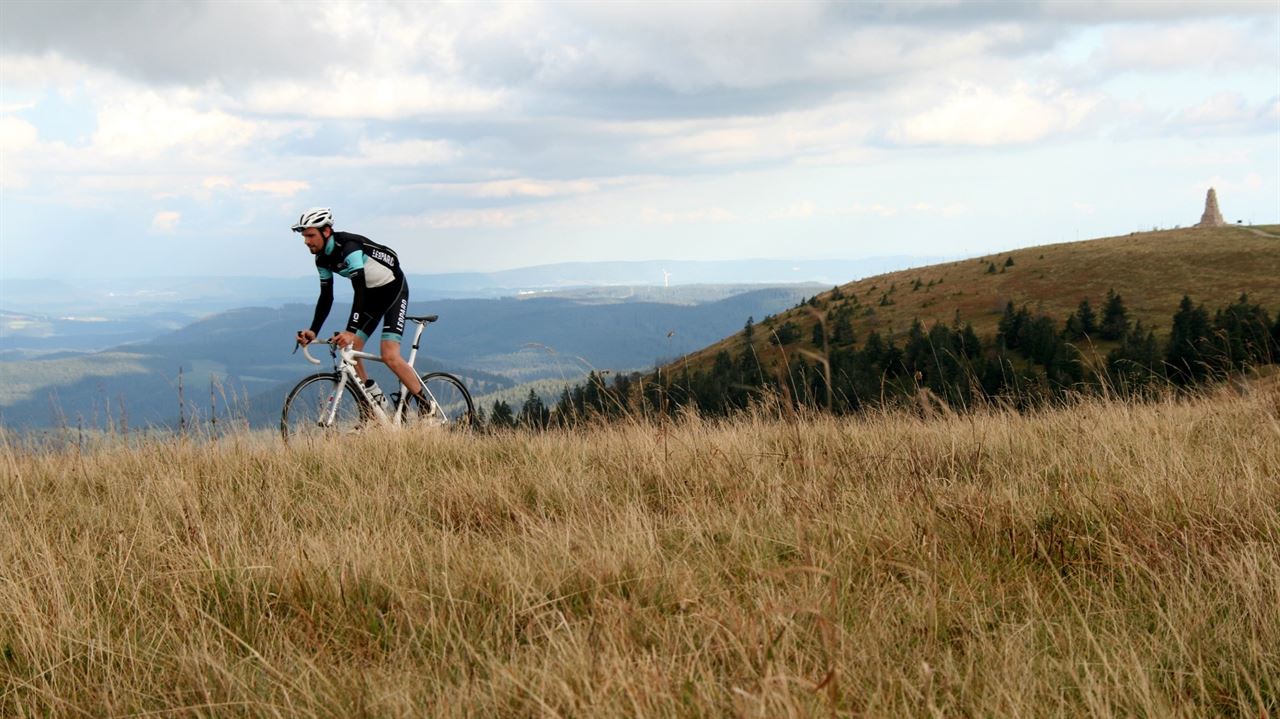 De reuzen van het Zwarte Woud