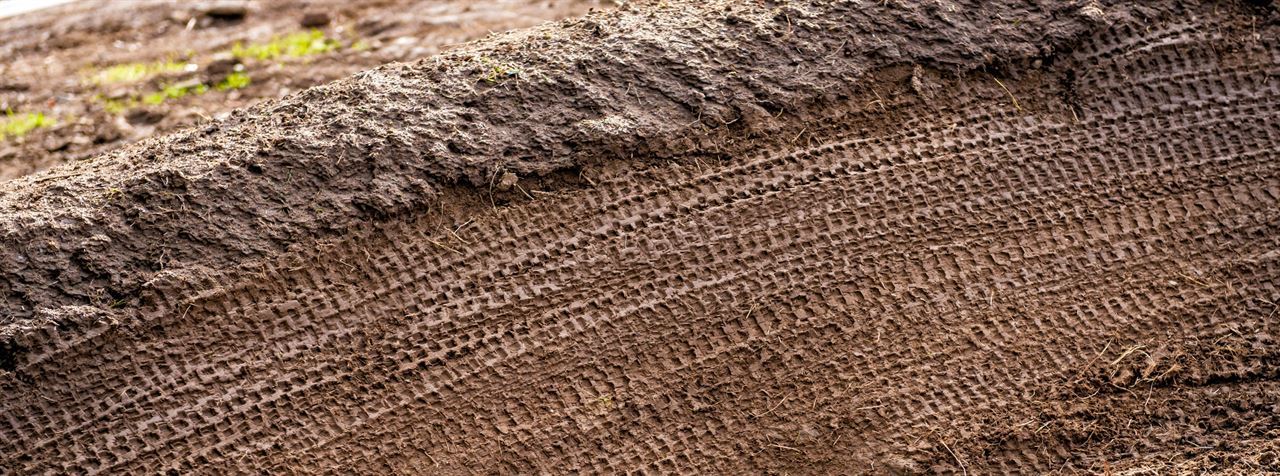 Trail Update 12/2017