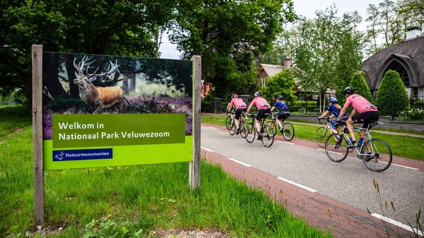 Gran Fondo Rosa in a box