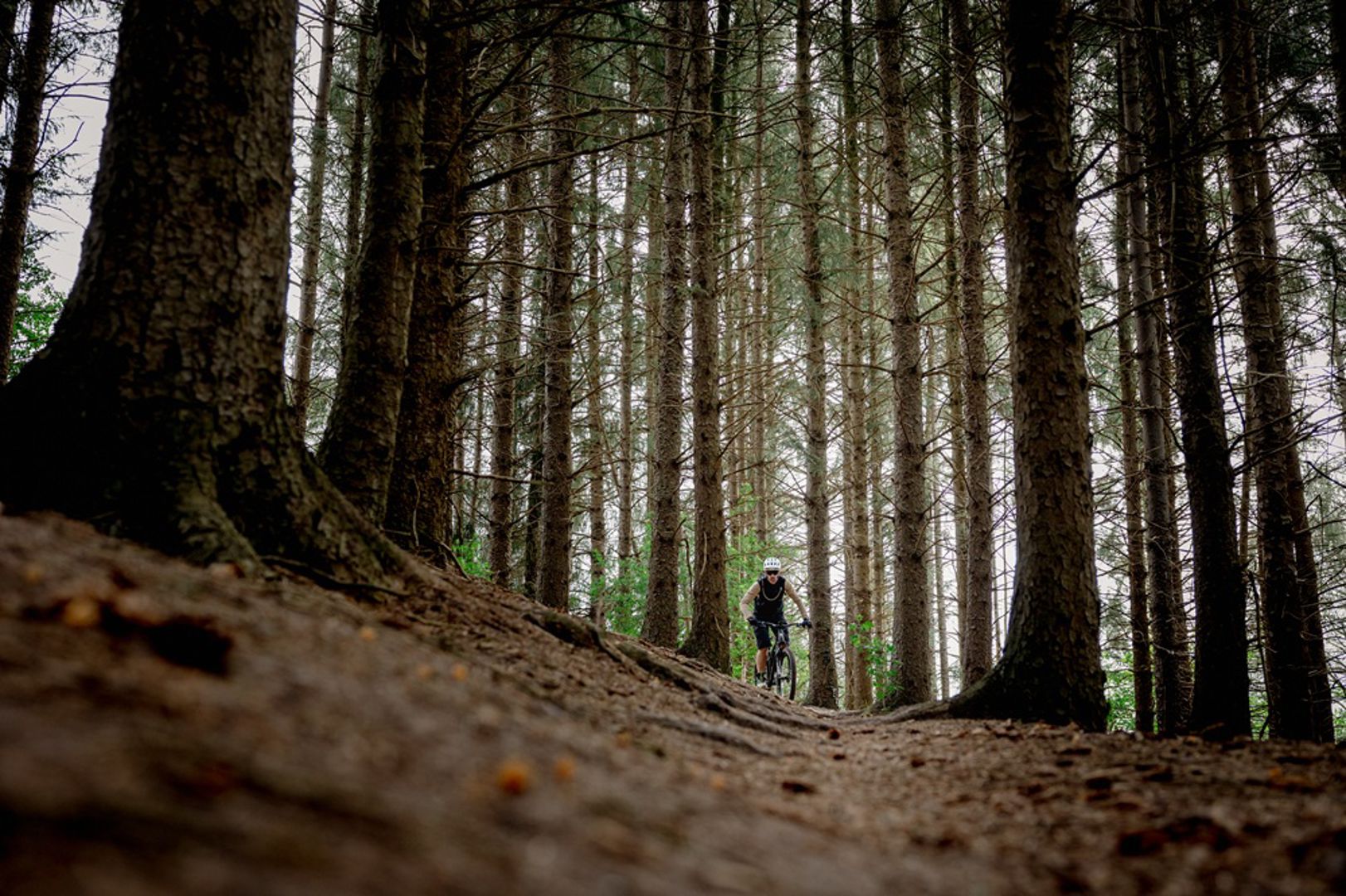 Kun je mountainbiken in Groningen?