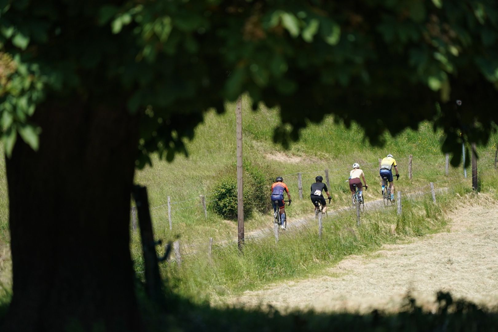 Limburgs Mooiste mag je niet missen