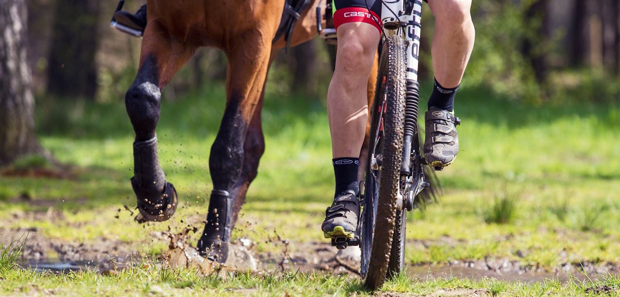 Hoe passeer je paard en ruiter?