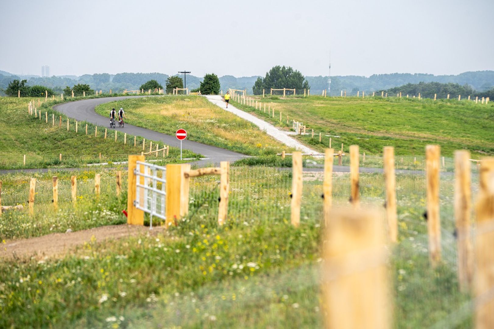 Een droom die uitkomt: de Vlagheideberg in Brabant