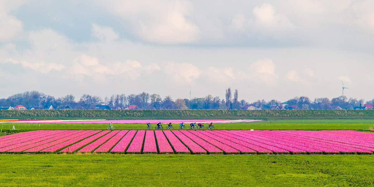 10x Toertochten die in in 2023 niet mag missen