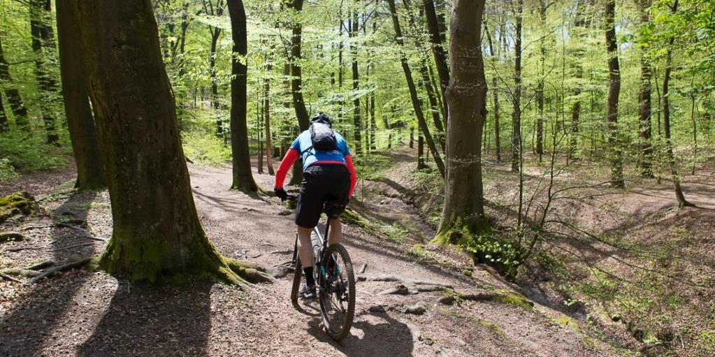 9x Prestatieve wielerevents