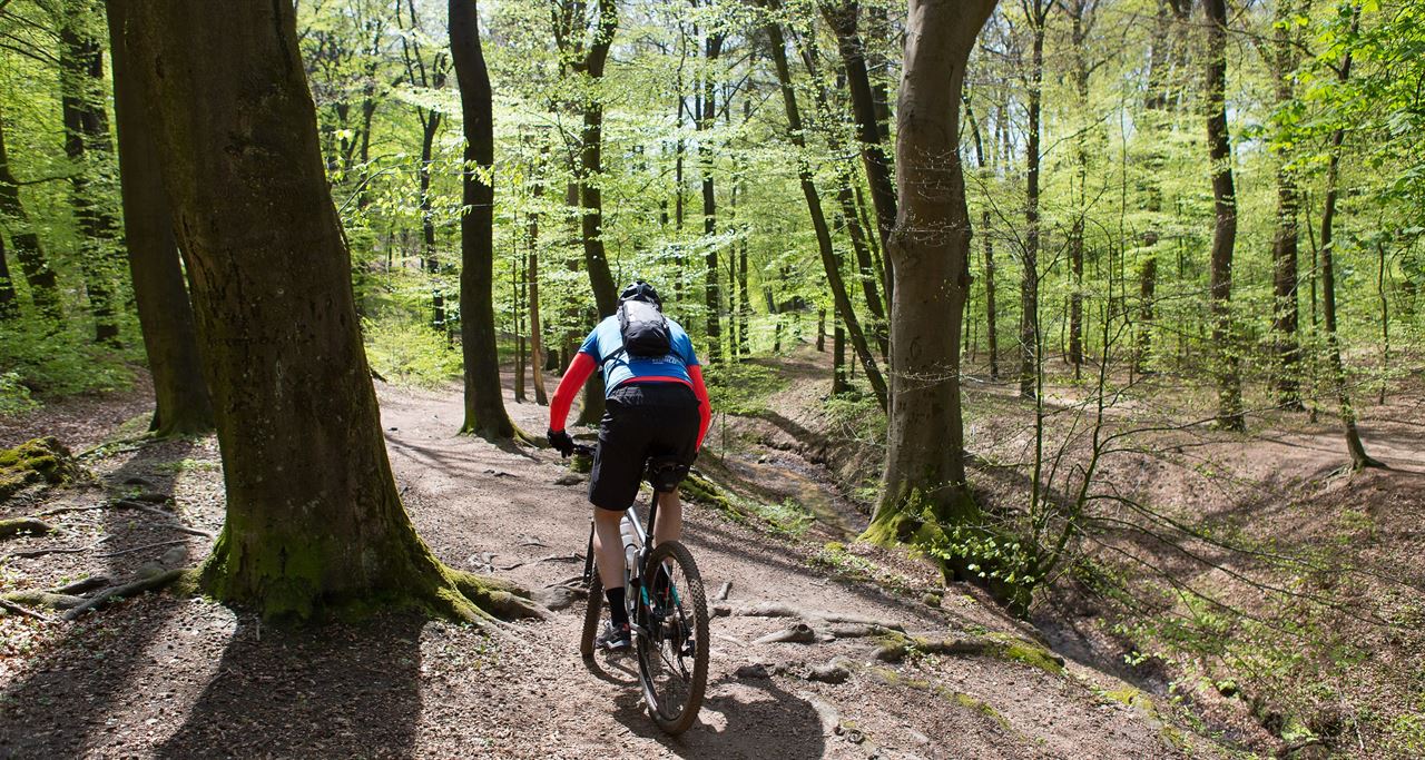 Fiets prachtige MTB-lussen tijdens de Holland Classic