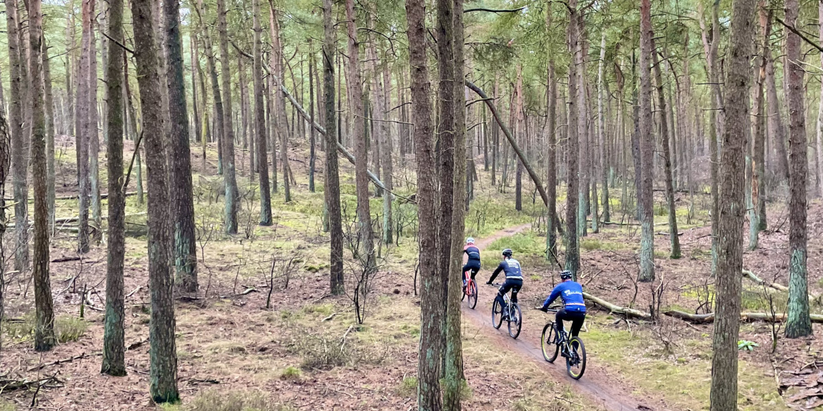 Deze 10x MTB-tochten mag je in 2022 niet missen