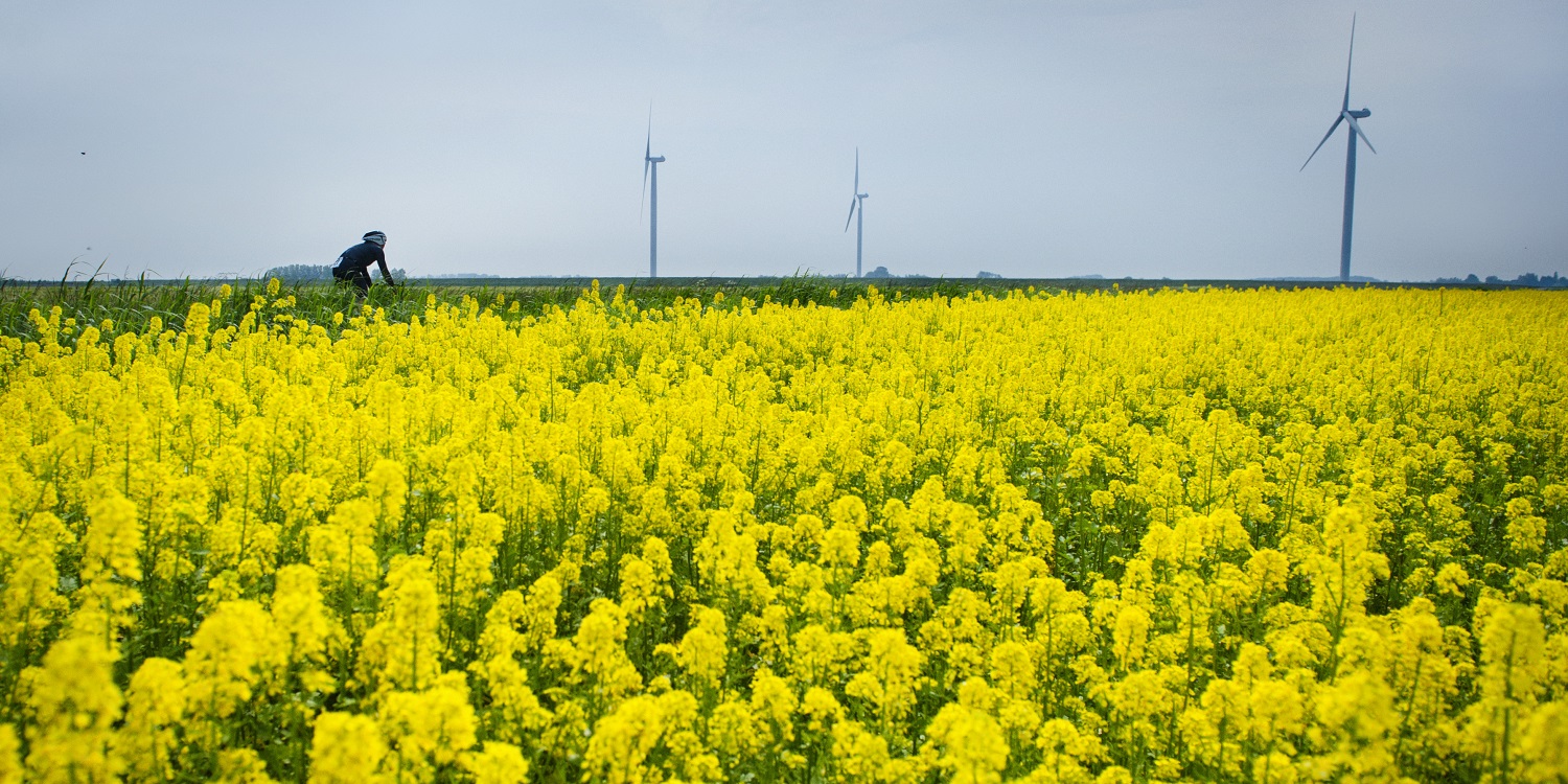 5x Zomerse toertochten
