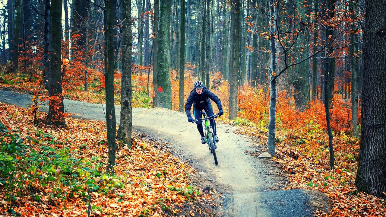 MTB Trail Awards 2019