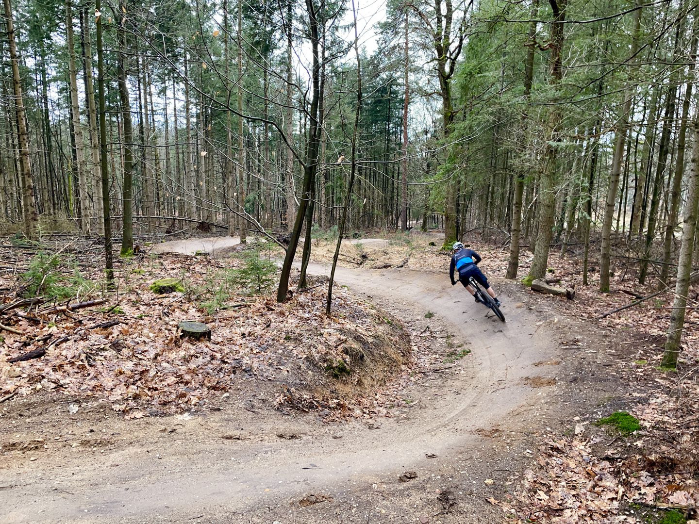 Uitspraak over MTB-routes Nijmegen: dit betekent het voor mountainbikers